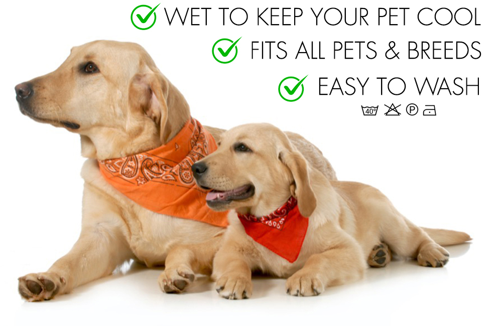 Dog Bandanas For Puppies And Large Dogs Cats Best Buddy Bandana