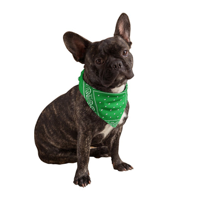 Green Dog Bandanas