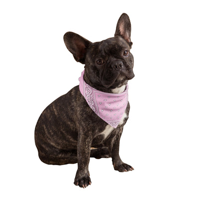 Pink Dog Bandanas