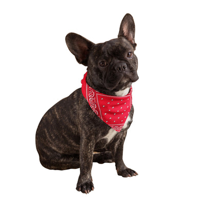 Dog Bandanas - Dog Bandanas Triangle Shaped