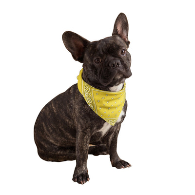 Yellow Dog Bandanas